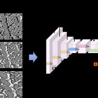 Image result for Deep Learning Data Augmentation