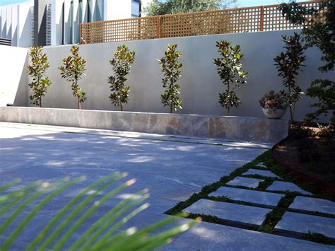 Image result for Silver Ash Color