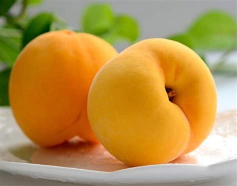 经期可以吃黄桃吗 黄桃的营养价值有哪些 - 鲜淘网