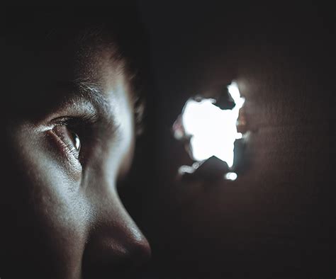 Image result for Collateral Damage