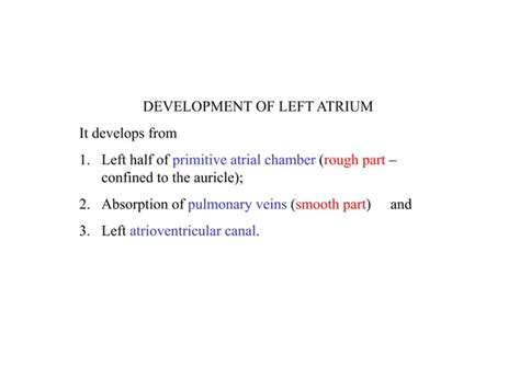 Image result for Development of Heart Notes