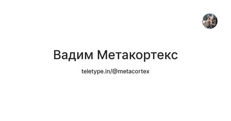 Вадим Метакортекс — Teletype