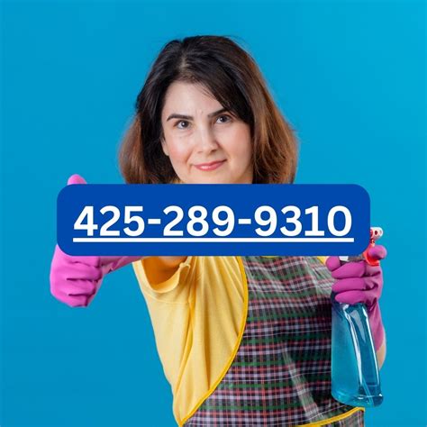 Cleaning Company In Seattle 2024 Best Guide