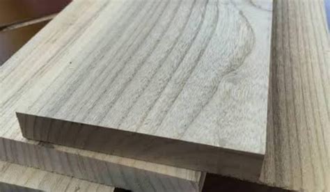 Image result for Sungkai Tree West Java