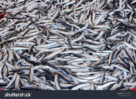 726 Anchovy Large Images, Stock Photos & Vectors | Shutterstock