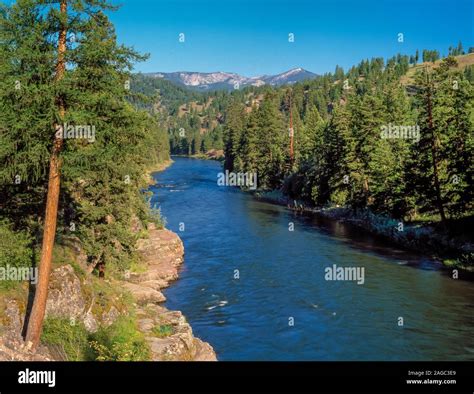 blackfoot river near potomac, montana Stock Photo - Alamy