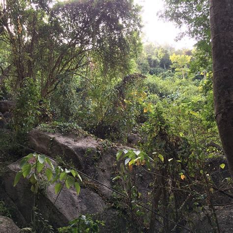MOUNT THI VAI (2026) All You Need to Know BEFORE You Go (with Photos ...