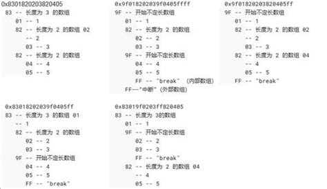 +SMP JavaServer Address 的图像结果
