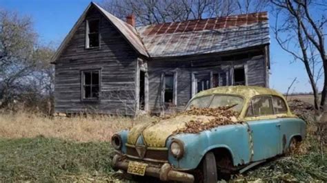 Only those with the sharpest vision can spot the hidden fox in this ...