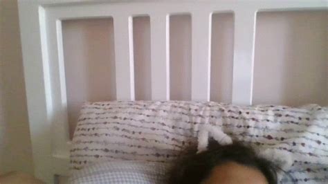 Dead Meme GIF 的图像结果