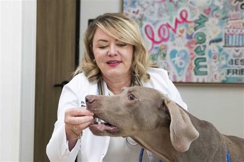 Woodlands vet clinic for cancer treatment opens with pet daycare