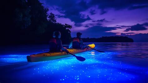 Couple kayaking at night on a bioluminescent bay | Premium AI-generated ...