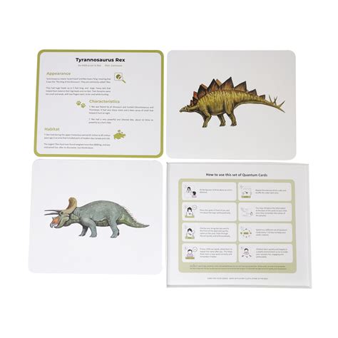 Dinosaurs Quantum Cards | Flashcards for Kids | Brain Development ...