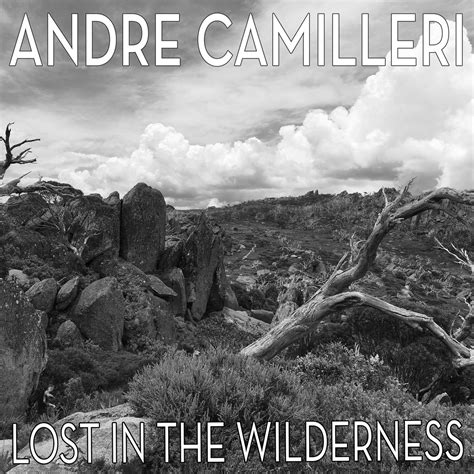 Lost In The Wilderness | Andre Camilleri