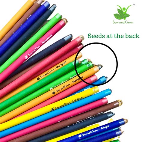 Plantable Seed Pencils Gift Pack | Individually Packed Eco-Friendly ...