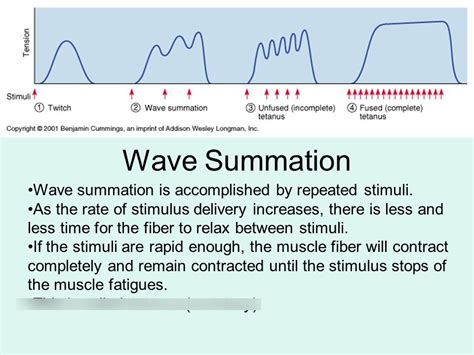 Image result for Wave Summation Graph