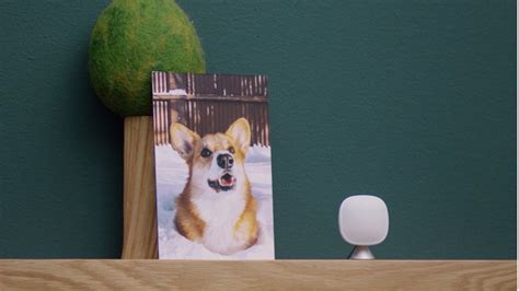 Ecobee Tutorial 的图像结果