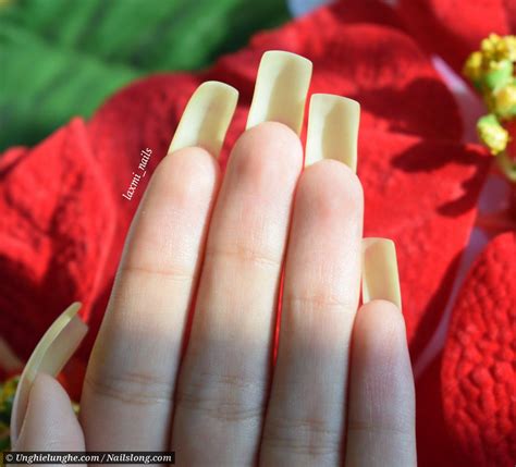 nail extension laxmi nagar