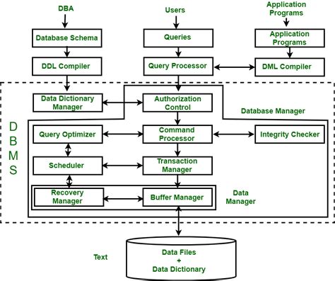 Database Management System