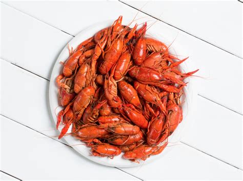 Can Dogs Eat Crawfish: 🦞Safety and Recommendations🦞 - DogCareLife