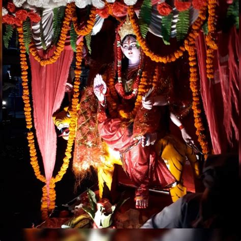 Shweta's Amazon Page