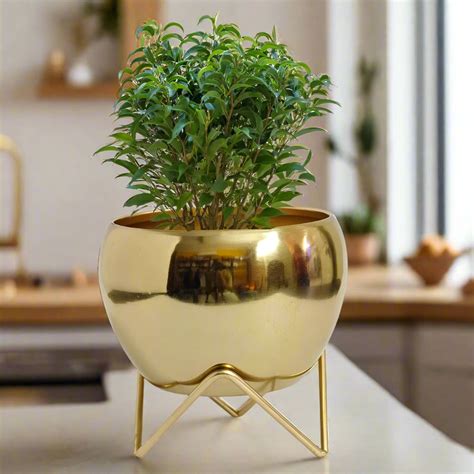Modern Golden Glossy Metal Planter With Gold Finish Stand| Apple Table ...