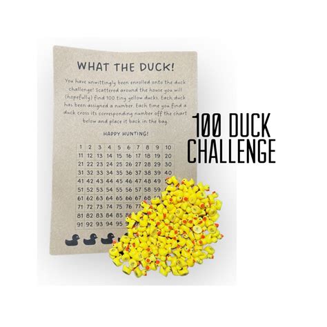 100 Duck Challenge Kit, Hide-a-duck Kit, Miniature Duck Scavenger Hunt, Hide the Duck, Elf Prop ...