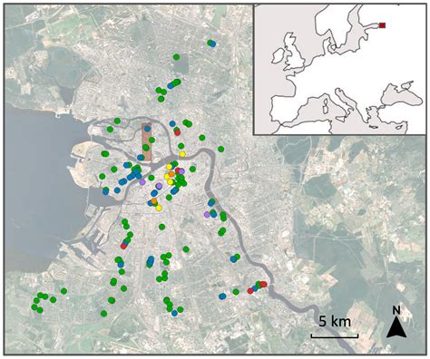 Spatial and Temporal Dynamics of Birch-Mining Eriocrania Moths in an ...