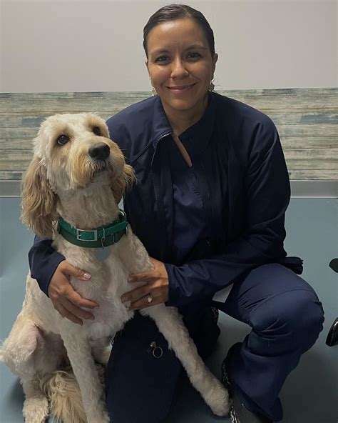 Pitman Animal Hospital (@pitman_animal_hospital) • Instagram photos and ...