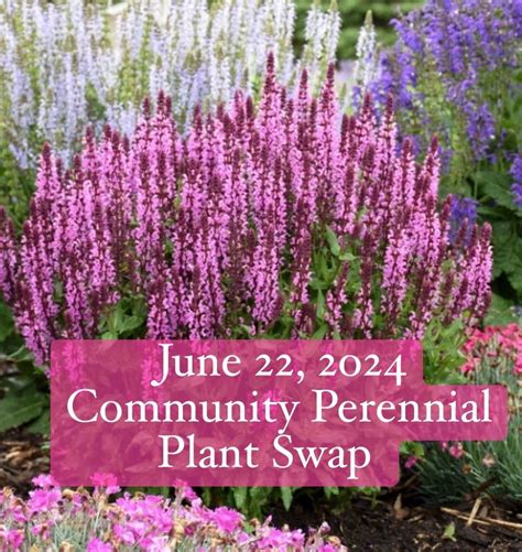 Perennial Plant Swap Free to the Community , 457 County Rte 62, Pulaski ...