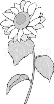Image result for Copy Paste Problem
