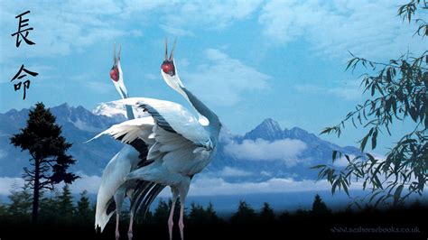 Taoism 的图像结果