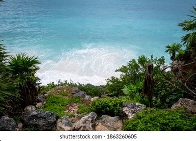 Image result for Palm Tree Map