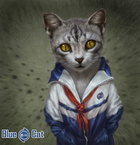 蓝猫 - 知乎