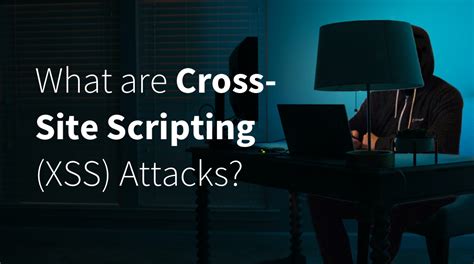 Image result for Cross-Site-Scripting XSS Attacken