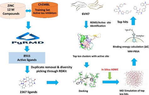 Image result for PyRx Virtual Screening Tool