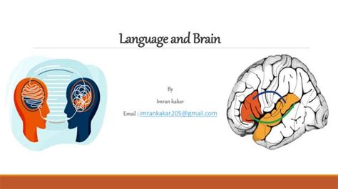 Language Brain 的图像结果