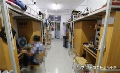 商丘学院专升本招生计划及学费表2022-库课专升本