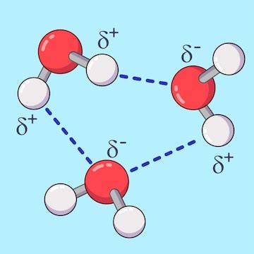 Cartoon water molecules with hydrogen bonds | Premium Vector