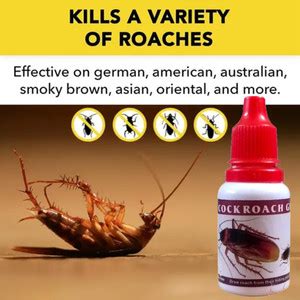 REGLET Bug Killer Gel Guaranteed All cockroach kill Powerfull - Buy ...