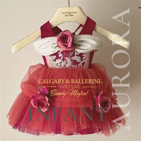 Aurora Sleeping Beauty Costumes The Aurora SLeeping Beauty Inspired