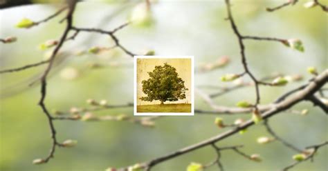 Obituary | Donald "Don" Melton | Bordwine Funeral Home Inc.