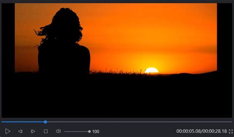 Image result for HEVC Player Features