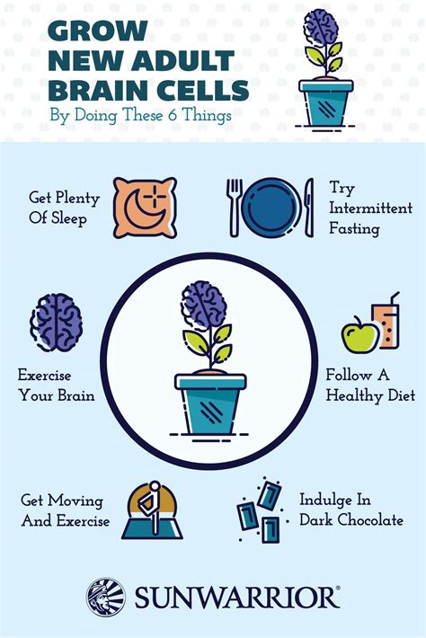 How To Grow Brain Cells: Proven Habits For Neurogenesis