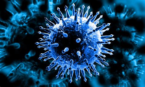 Lessons Learned from Lives Lost - News