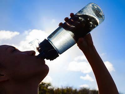 Primary English Quizzes on Regular and Irregular Verbs