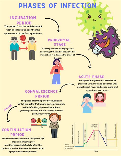 Phases Of Infection