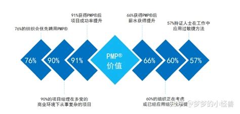 PMP和软件高项哪个含金量高？ - 知乎