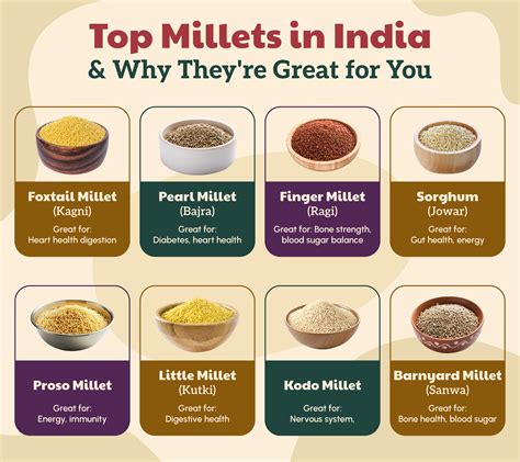 Types of Millets: A Complete Guide to Different Varieties | Right Shift