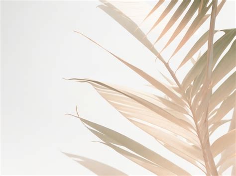 Professional Background 的图像结果